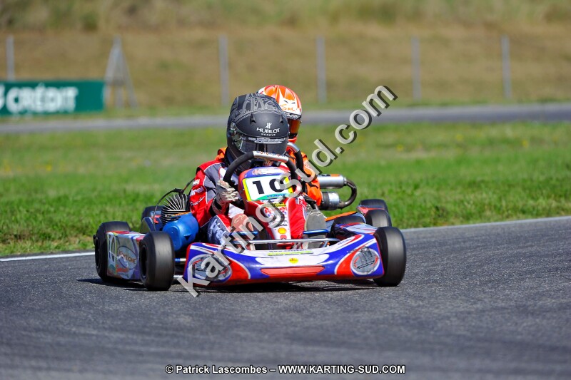 DSC_ (1370).jpg